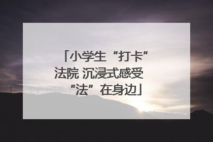 小学生“打卡”法院 沉浸式感受“法”在身边