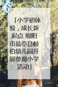 小学初体验，成长新起点 绵阳市盐亭县岐伯幼儿园开展参观小学活动