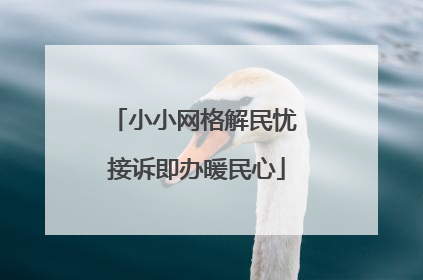 小小网格解民忧 接诉即办暖民心