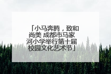 小马奔腾，致和尚美 成都市马家河小学举行第十届校园文化艺术节
