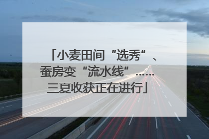 小麦田间“选秀”、蚕房变“流水线”……三夏收获正在进行