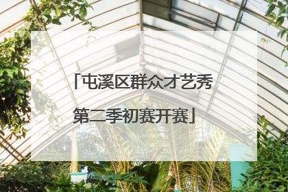 屯溪区群众才艺秀第二季初赛开赛