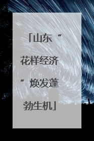 山东“花样经济”焕发蓬勃生机