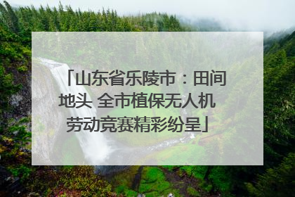 山东省乐陵市：田间地头 全市植保无人机劳动竞赛精彩纷呈