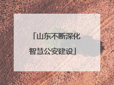 山东不断深化智慧公安建设