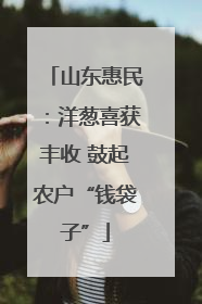 山东惠民：洋葱喜获丰收 鼓起农户“钱袋子”