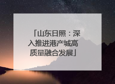 山东日照：深入推进港产城高质量融合发展