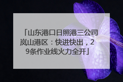 山东港口日照港三公司岚山港区：快进快出，29条作业线火力全开