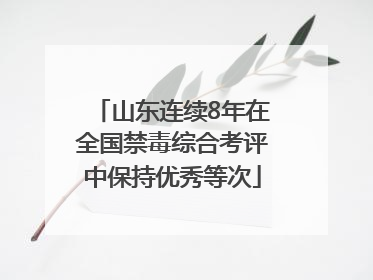 山东连续8年在全国禁毒综合考评中保持优秀等次