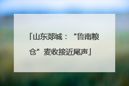 山东郯城：“鲁南粮仓”麦收接近尾声