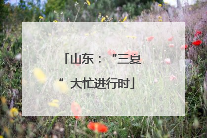 山东：“三夏”大忙进行时