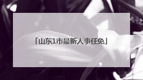山东1市最新人事任免