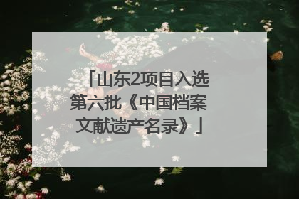山东2项目入选第六批《中国档案文献遗产名录》