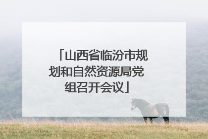 山西省临汾市规划和自然资源局党组召开会议