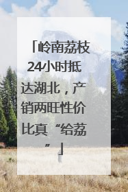 岭南荔枝24小时抵达湖北，产销两旺性价比真“给荔”