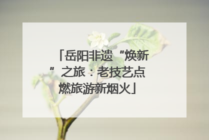 岳阳非遗“焕新”之旅：老技艺点燃旅游新烟火