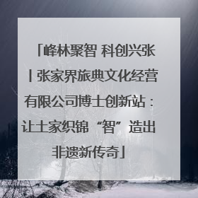峰林聚智 科创兴张丨张家界旅典文化经营有限公司博士创新站：让土家织锦“智”造出非遗新传奇