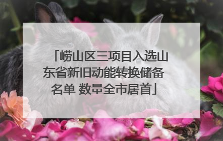 崂山区三项目入选山东省新旧动能转换储备名单 数量全市居首