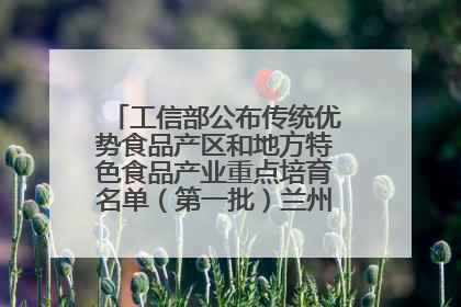 工信部公布传统优势食品产区和地方特色食品产业重点培育名单（第一批）兰州牛肉拉面位列其中