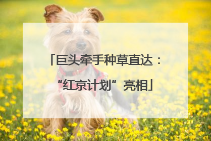 巨头牵手种草直达：“红京计划”亮相