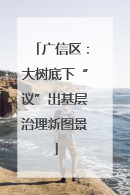 广信区：大树底下“议”出基层治理新图景