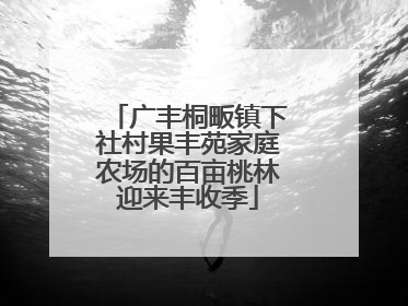 广丰桐畈镇下社村果丰苑家庭农场的百亩桃林迎来丰收季