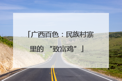 广西百色：民族村寨里的 “致富鸡”