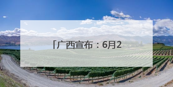 广西宣布：6月20日之后，暂停消费品以旧换新补贴