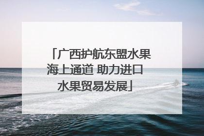 广西护航东盟水果海上通道 助力进口水果贸易发展