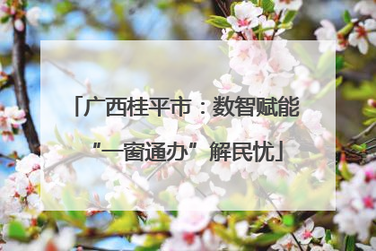 广西桂平市：数智赋能“一窗通办”解民忧