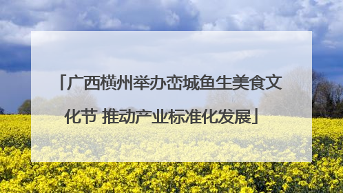 广西横州举办峦城鱼生美食文化节 推动产业标准化发展