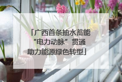 广西首条抽水蓄能“电力动脉”贯通 助力能源绿色转型