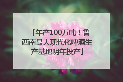 年产100万吨！鲁西南最大现代化啤酒生产基地明年投产