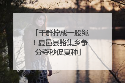 干群拧成一股绳！夏邑县骆集乡争分夺秒促夏种