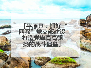 平原县：抓好“四强”党支部建设 打造党旗高高飘扬的战斗堡垒