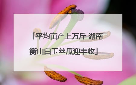平均亩产上万斤 湖南衡山白玉丝瓜迎丰收