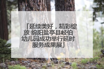 延续美好，精彩绽放 绵阳盐亭县岐伯幼儿园成功举行延时服务成果展