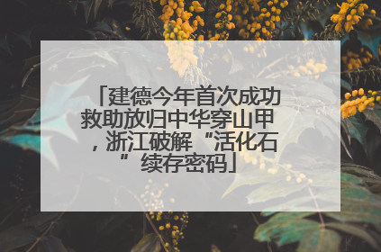 建德今年首次成功救助放归中华穿山甲，浙江破解“活化石”续存密码