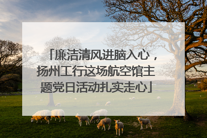 廉洁清风进脑入心，扬州工行这场航空馆主题党日活动扎实走心