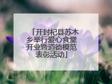 开封杞县苏木乡举行爱心食堂开业暨道德模范表彰活动