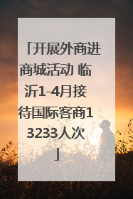 开展外商进商城活动 临沂1-4月接待国际客商13233人次