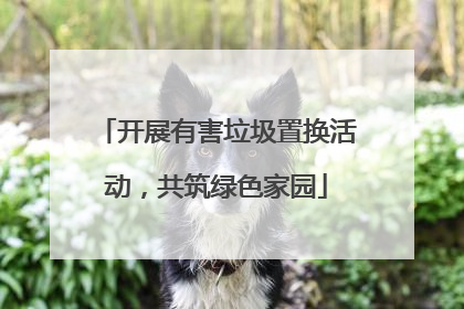 开展有害垃圾置换活动，共筑绿色家园