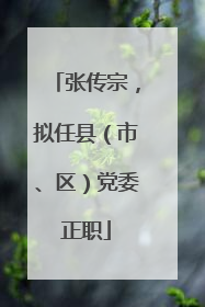 张传宗，拟任县（市、区）党委正职