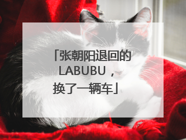 张朝阳退回的LABUBU，换了一辆车