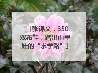 张锦文：350双布鞋，踏出山里娃的“求学路”