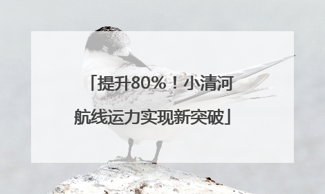 提升80％！小清河航线运力实现新突破