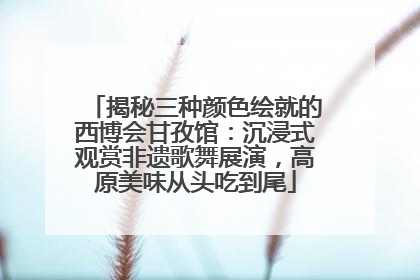 揭秘三种颜色绘就的西博会甘孜馆：沉浸式观赏非遗歌舞展演，高原美味从头吃到尾