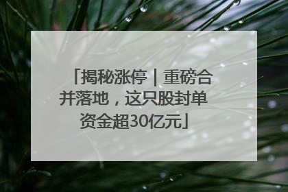 揭秘涨停｜重磅合并落地，这只股封单资金超30亿元