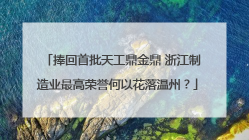 捧回首批天工鼎金鼎 浙江制造业最高荣誉何以花落温州？