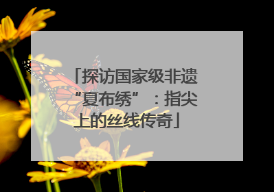 探访国家级非遗“夏布绣”：指尖上的丝线传奇